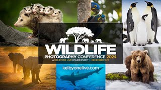 Wildlife Photography Conference 2024 [upl. by Acirea332]