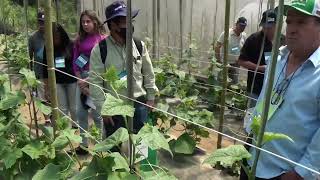 03 Cultivo Protegido Encontro Técnico de Agricultura em Jundiaí [upl. by Droc]