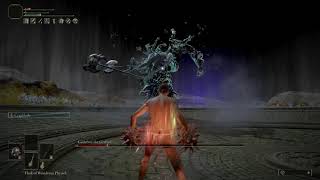 Godefroy the Grafted True SL1 No Hit [upl. by Larentia]