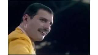 freddie mercury yellow jacket [upl. by Nosinned]