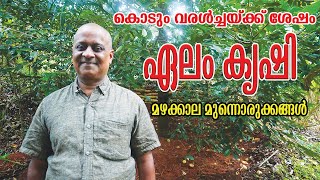 ഏലംകൃഷി മഴക്കാല മുന്നൊരുക്കങ്ങൾ വളരെ അത്യാവശ്യം ചെയ്യേണ്ട കാര്യങ്ങൾ  Cardamom farming malayalam [upl. by Kcirtap]