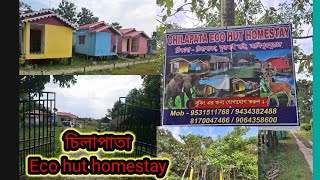 Chilapata Eco hut Homestay  24112024 alipurduar junglesafari dooars highlights viralvideo [upl. by Nishi947]