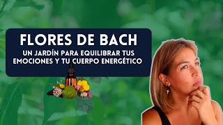 FLORES DE BACH UN JARDÍN PARA EQUILIBRAR TUS EMOCIONES Y TU CUERPO ENERGÉTICO I HEOLYDA LIVE [upl. by Ahsenom]