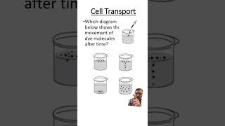 Diffusion Question [upl. by Nealey490]