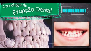 Cronologia de Erupção dos Dentes DecíduosLeite e Permanentes [upl. by Eiramnaej]