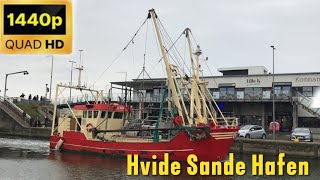 Kutter in Hvide Sande Hafen1440p 60fps Aufnahme [upl. by Waller]