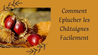 116  Comment éplucher les châtaignes facilement [upl. by Ermey935]