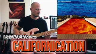 Californication  Bass Cover Red Hot Chili Peppers [upl. by Ahl]