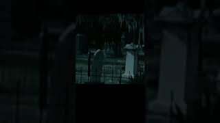 Orbe gigante orbs cementerios actividadparanormal misterio terrors [upl. by Inihor]