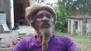 ANCIENT TESTIMONY  BONGO ISAAC WHO IS RASTAFARI [upl. by Parish]