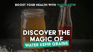 Transform Your Health with Water Kefir Grains – Easy Refreshing Probiotics at Home [upl. by Jardena404]