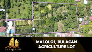 MASSIVE AGRICULTURAL LOT FOR SALE IN MALOLOS BULACAN  Harborage Realty [upl. by Havens64]