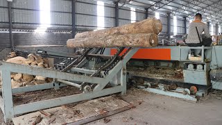 How To Make Plywood Complete Plywood Production Line plywoodmachine woodworkingmachine [upl. by Ward]