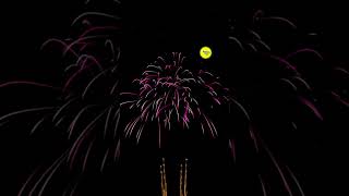 Testing Every Firework in Fireworks Mania gaming fireworks shorts 16 [upl. by Hunsinger236]