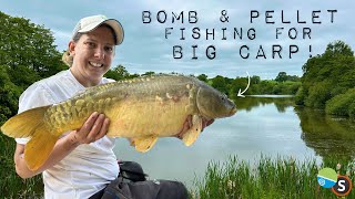 Bomb amp Pellet Fishing for BIG carp [upl. by Thurman]