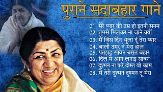 Superhit Songs of Lata Mangeshkar amp Mohammad Rafi  Asha Bhosle  Kishore Kumar  Evergreen Melodies [upl. by Nancee]