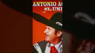 Antonio Aguilar prisionero de tus brazos 100124 [upl. by Pentheam]