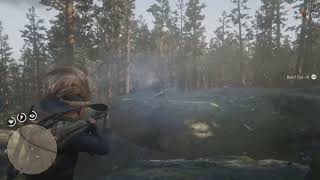 RDR2s Unexpected Ambush [upl. by Engen]