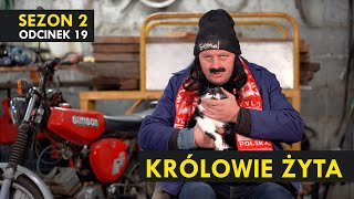 KRÓLOWIE ŻYTA Sezon 2 odc 19 I Kabaret Malina [upl. by Knowles]