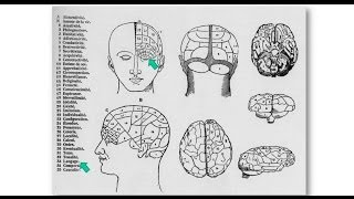 Le cerveau en pièces détachées  une conférence de Laurent Cohen [upl. by Sillyhp]