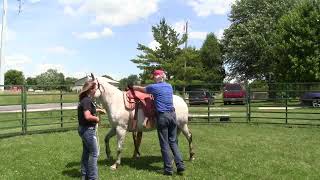 Does your saddle fit this good  Testing a new JC Martin saddle with Smokie Brannaman [upl. by Yelnet575]