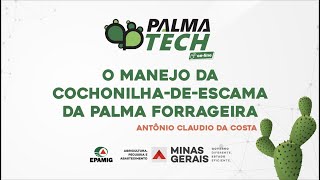 Palmatech 2020 O manejo da cochonilhadeescama da palma forrageira [upl. by Ueihttam]