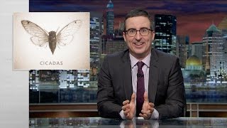 Cicadas Web Exclusive Last Week Tonight with John Oliver HBO [upl. by Milas]