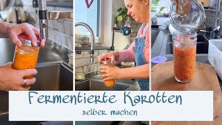 Karotten fermentieren  Probiotisches Powerfood  Gesundes für den Darm [upl. by Marienthal952]