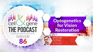 Optogenetics for Vision Restoration with Ray Therapeutics Paul Bresge [upl. by Semyaj]