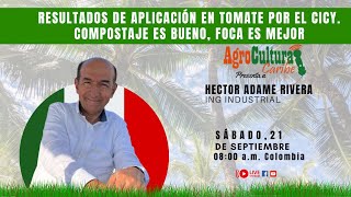 Resultados de aplicación en tomate por el CICY Compostaje es bueno FOCA es mejor [upl. by Gnep]