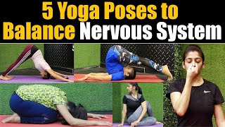 Yoga in Hindi 5 poses for Healthy Nervous System 5 योगा जो नर्वस सिस्टम को करेंगे सपोर्ट Jeevan Kosh [upl. by Shuma]