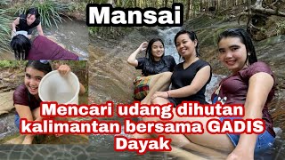 MENCARI UDANG DIHUTAN KALIMANTAN BERSAMA GADIS DAYAK [upl. by Anitsrik]