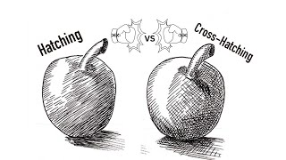 Hatching vs Cross hatching [upl. by Allerie850]