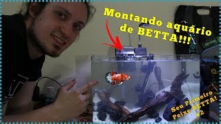 Como montar um aquário de BETTA para INICIANTES [upl. by Jessalin211]