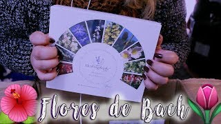 ASMR CHILEESPAÑOL  SHOW amp TELL 🌸 Las 38 Tarjetas de las Flores del DrBach 🌺 [upl. by Ness]