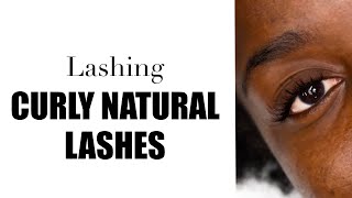 How to Apply Lash Extensions to Curly Lashes [upl. by Katharine260]