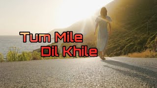 Tum Mile Dil Khile SonghttpsyoutuberB5wV3o03issi60hPOnWpUIoBZBVn [upl. by Carey]