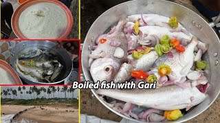 Authentic FRESHLY BOILED FISH with GARI – Traditional Ghanaian Cuisine from West Africa [upl. by Engenia]