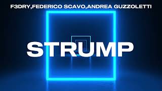 f3dryfederico scavoandrea guzzoletti  strump remix 202425 [upl. by Sayre]