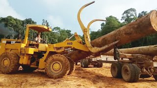 Wheel Loader Caterpillar 966D Bongkar Muatan Logs Dari Atas Logging Truck Nissan TZ 520 [upl. by Idnahs]