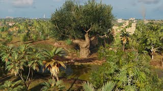 Royal Flora  Assassins Creed Origins  Papyri Puzzle [upl. by Etnaud252]