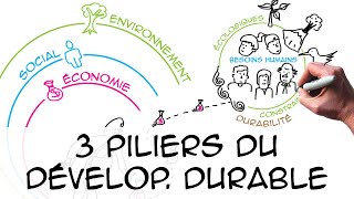 Les 3 piliers du développement durable regard scientifique [upl. by Abra]