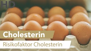 Das sind die besten Cholesterinsenker [upl. by Aihsened61]