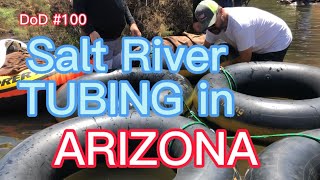 Salt River TUBING in ARIZONA [upl. by Ailuj286]