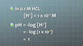 pH explanation short version [upl. by Araminta654]