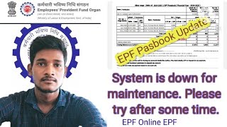 EPF Passbook available after 6 Hours of registration at Unified Member Portal 2024 [upl. by Reiners]