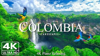 4K Colombia  Discovering the Lush Rainforests Stunning Coastlines of South America’s Hidden Gem [upl. by Peer]