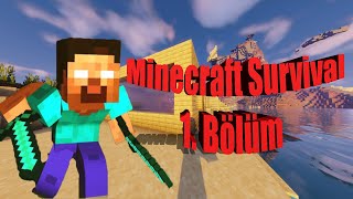 Zor Şartlar Altında Minecraft Survival 1 Bölüm [upl. by Netram131]