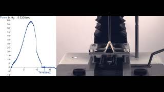 Kieffer DoughGluten Extensibility Rig  Measure extensional properties using a Texture Analyser [upl. by Ivonne]