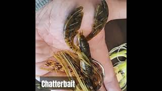 Fishing Chatterbaits for Bass 😎 bassfishing bait fishingvideo fishing fish tackle fishingtips [upl. by Lambert]